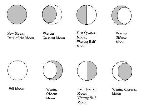 Moon Phases