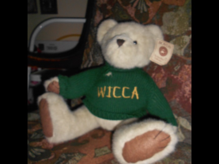 Wicca Bear